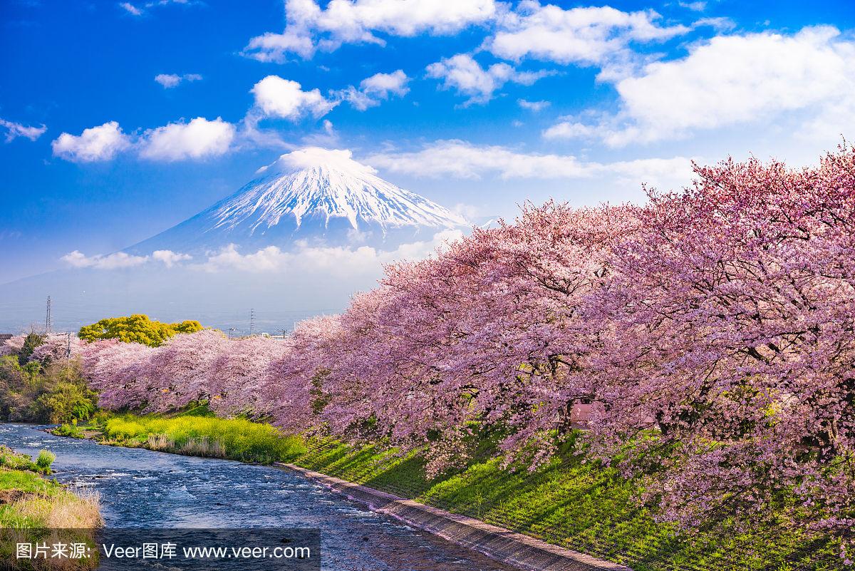 90后挑大梁 用青春“焕新”传统文化记忆